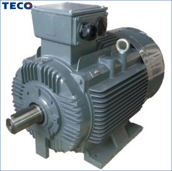 Motor chân đế TECO tiêu chuẩn IE1