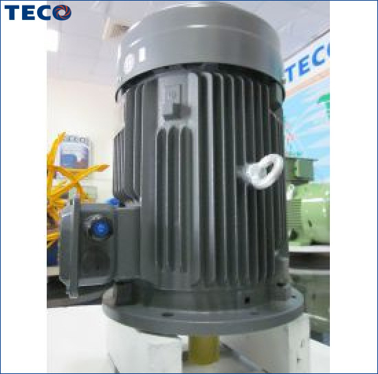 Motor mặt bích TECO